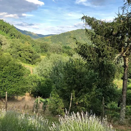 Apartment Tuscany Meanders