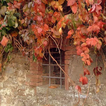Apartment Tuscany Meanders